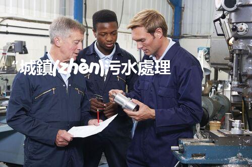 “城鎮(zhèn)污水處理提質(zhì)增效，綠色以后共筑輝煌”